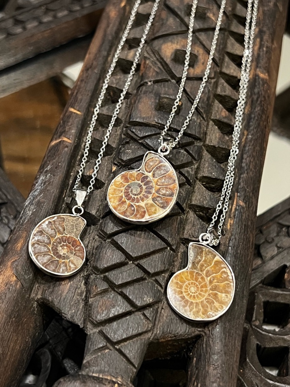 Nautilus Fossil Pendent Necklace